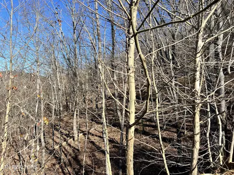 Sharp Rd, Sevierville, TN 37876 photo 29