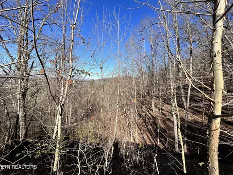 Sharp Rd, Sevierville, TN 37876 photo 23