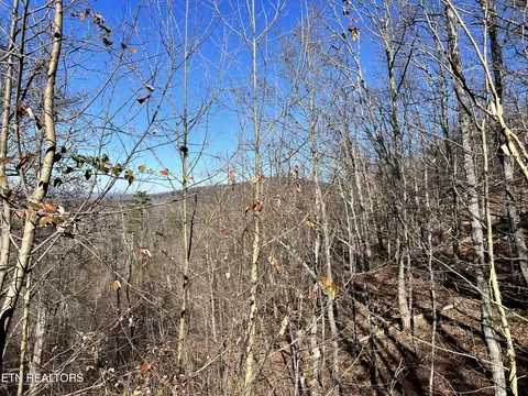 Sharp Rd, Sevierville, TN 37876 photo 31