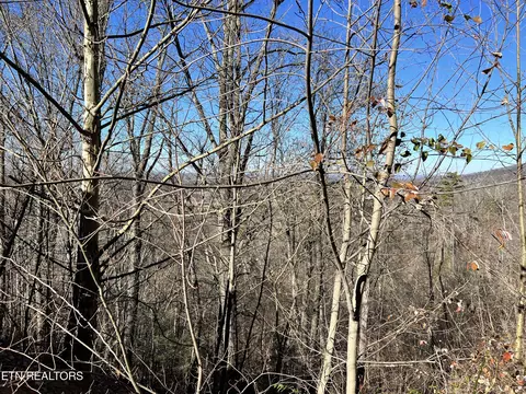 Sharp Rd, Sevierville, TN 37876 photo 26