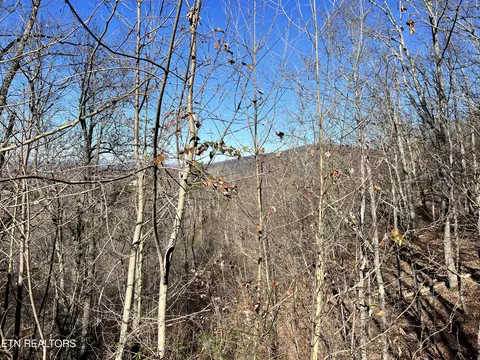 Sharp Rd, Sevierville, TN 37876 photo 30