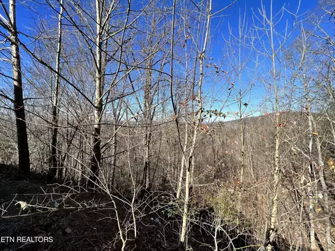Sharp Rd, Sevierville, TN 37876 photo 21