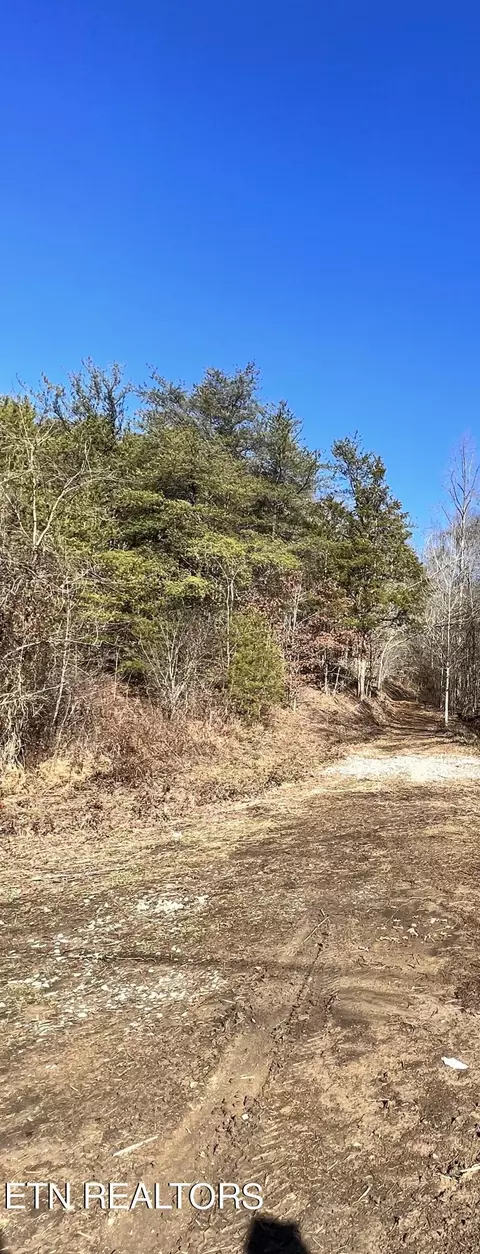 Sharp Rd, Sevierville, TN 37876 photo 11