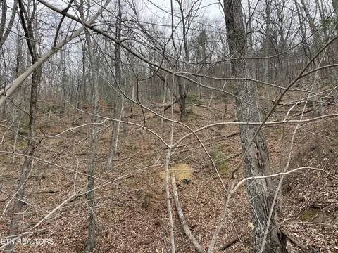 Sharp Rd, Sevierville, TN 37876 photo 3