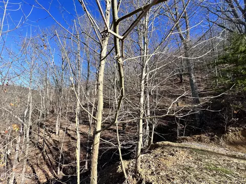 Sharp Rd, Sevierville, TN 37876 photo 27