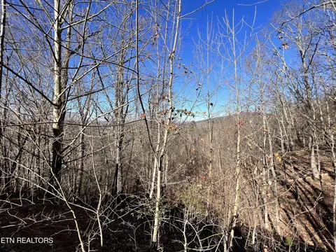 Sharp Rd, Sevierville, TN 37876 photo 20