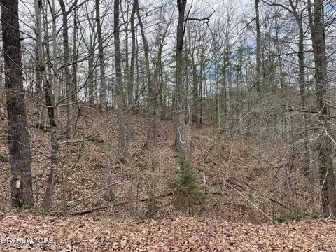 Sharp Rd, Sevierville, TN 37876 photo 2