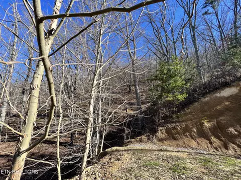 Sharp Rd, Sevierville, TN 37876 photo 24