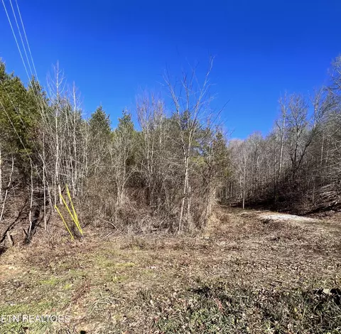 Sharp Rd, Sevierville, TN 37876 photo 8