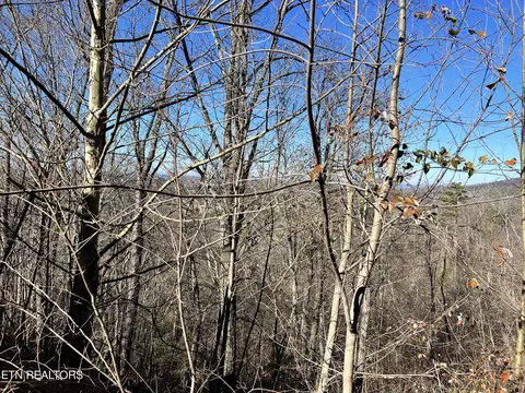 Sharp Rd, Sevierville, TN 37876 photo 28