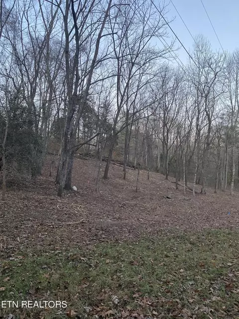 N North Slope Lane Lane, Clinton, TN 37716