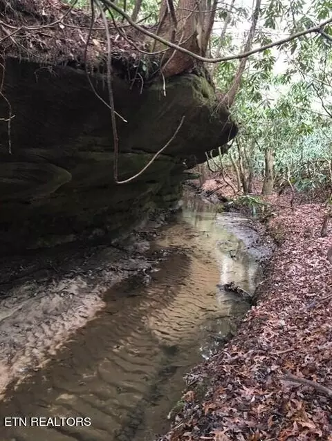 Leatherwood Ford Rd, Jamestown, TN 38556