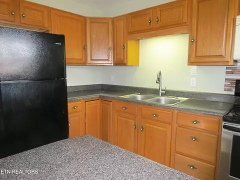 1376 Kingswood Rd, Talbott, TN 37877 photo 13