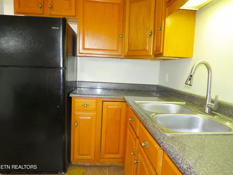 1376 Kingswood Rd, Talbott, TN 37877 photo 12