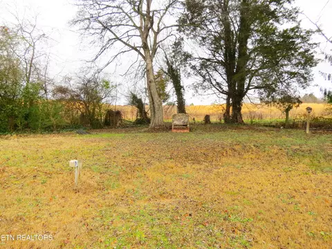 1376 Kingswood Rd, Talbott, TN 37877 photo 7