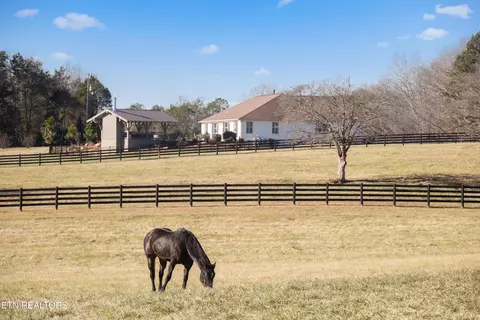 7300 Corryton Rd, Corryton, TN 37721 photo 40