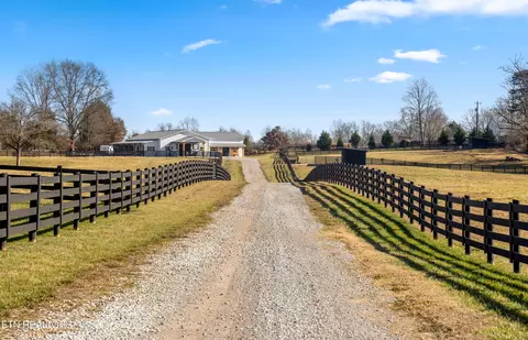 7300 Corryton Rd, Corryton, TN 37721 photo 30