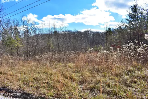 Lot 72 Oak Trail, Spring City, TN 37381