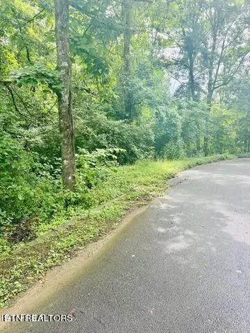 Steven Court, Pigeon Forge, TN 37863