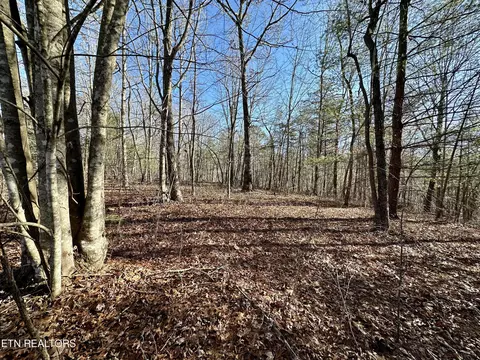 17 Woodland Trail, Sunbright, TN 37872