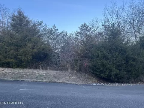 Eagle Feather Drive, Sevierville, TN 37876