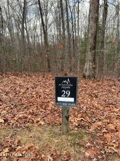 Hardwood Court Lot Unit 29 Ct  