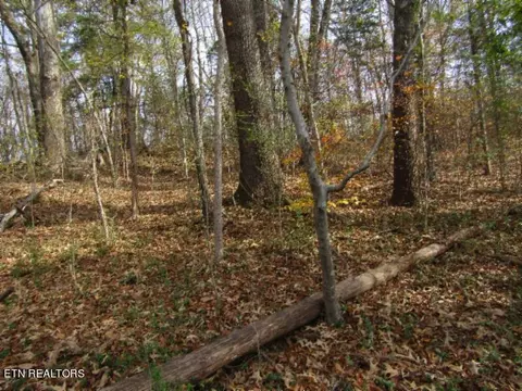 Lot 10 River Oaks Drive, Spencer, TN 38585