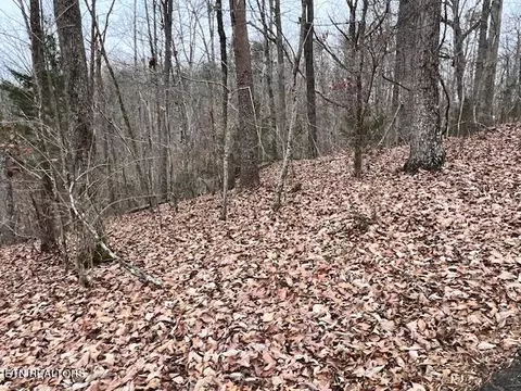 Polly Mountain Rd, Madisonville, TN 37354