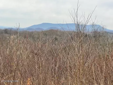 Polly Mountain Rd, Madisonville, TN 37354