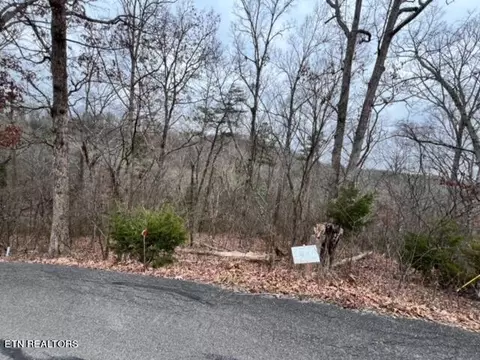 Laurel Mountain Rd, Madisonville, TN 37354