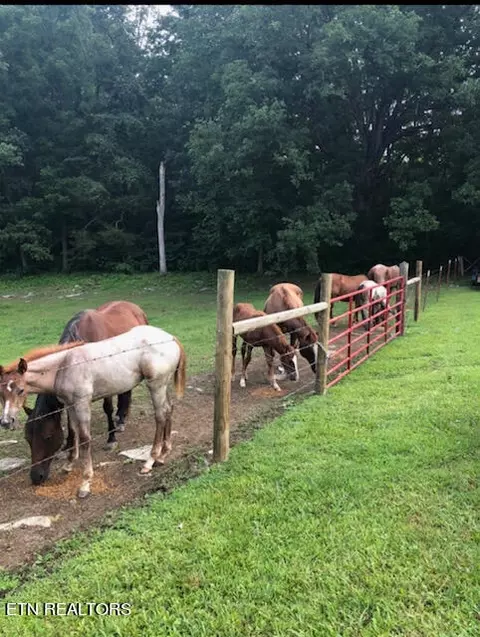 Other - 5769 Wilderness Rd, Ewing, VA 24248 photo 3 of 10