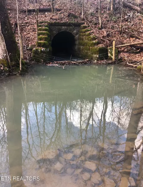 View/Area - 5769 Wilderness Rd, Ewing, VA 24248 photo 3 of 5