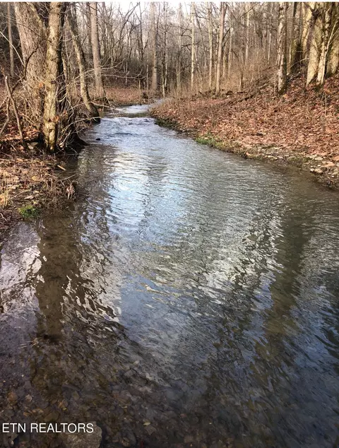 View/Area - 5769 Wilderness Rd, Ewing, VA 24248 photo 5 of 5