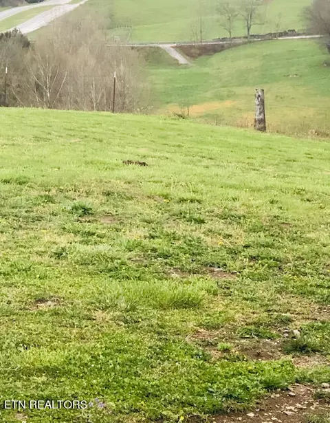 Other - 5769 Wilderness Rd, Ewing, VA 24248 photo 6 of 10