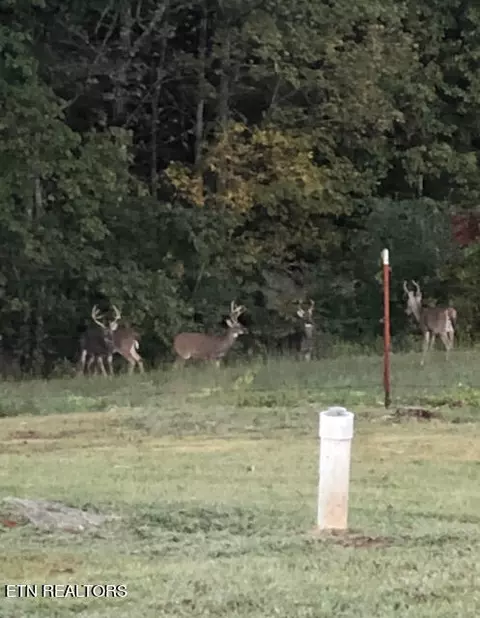 Other - 5769 Wilderness Rd, Ewing, VA 24248 photo 5 of 10