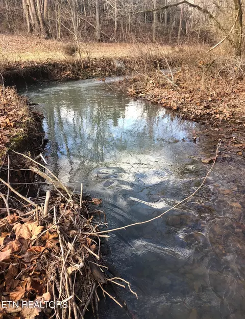 View/Area - 5769 Wilderness Rd, Ewing, VA 24248 photo 4 of 5