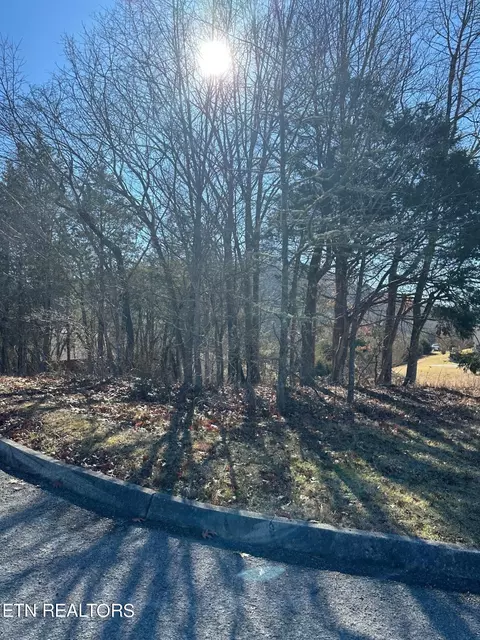 469 Woodlake Blvd, Tazewell, TN 37879