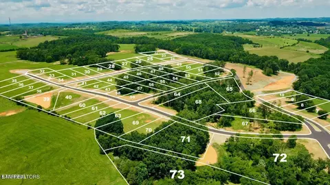 lot58 910 Herbert Dr, Greenback, TN 37742