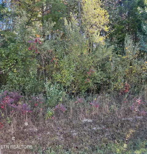 11988 E Watkins Rd, Loudon, TN 37774