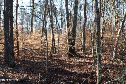 184 Fagin Ln, Madisonville, TN 37354