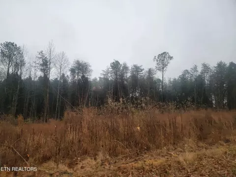 lot69 70 Kings Hill Rd, Spring City, TN 37381