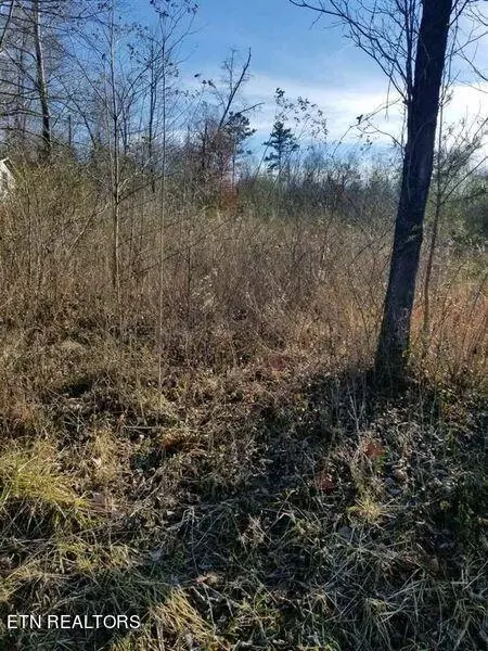 Lot #43 Scenic Lakeview Drive, Spring City, TN 37381