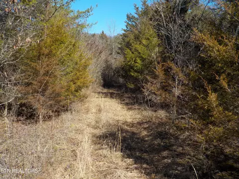 Kicking True Way, Bean Station, TN 37708