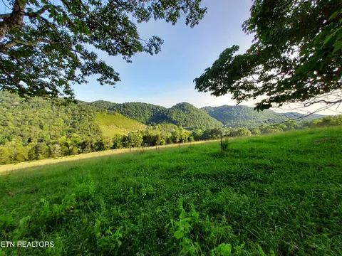 Tbd Lot 2 Trents Chapel Rd, Sneedville, TN 37869
