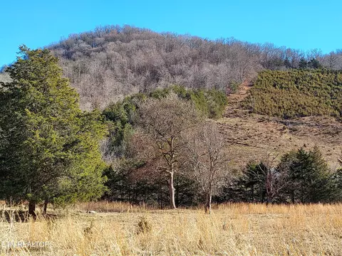 Tbd Lot 4 Stoney Fork Rd, Sneedville, TN 37869