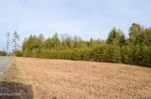 White Creek Dr, Deer Lodge, TN 37726
