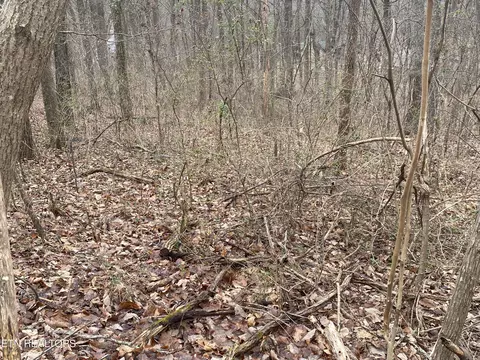 Edgewood Dr, Sweetwater, TN 37874