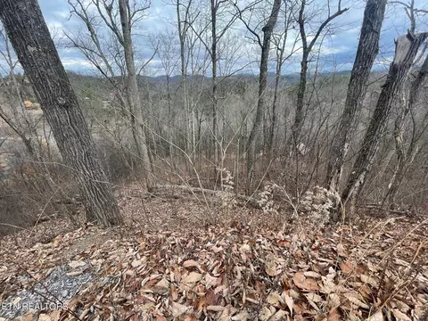 lot99 Dolly South Dr, Sevierville, TN 37876