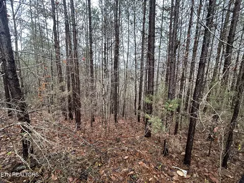 Harley Davidson Lane, La Follette, TN 37766