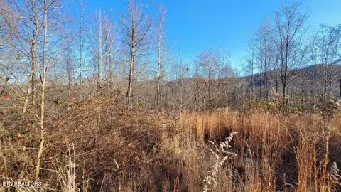 Stanley Marlow Lane, Oneida, TN 37841